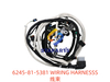 6245-81-5381 WIRING HARNESSS
