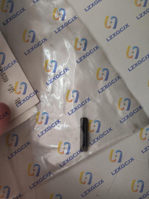 113-15-29560 PIN,SPRING D21;D31