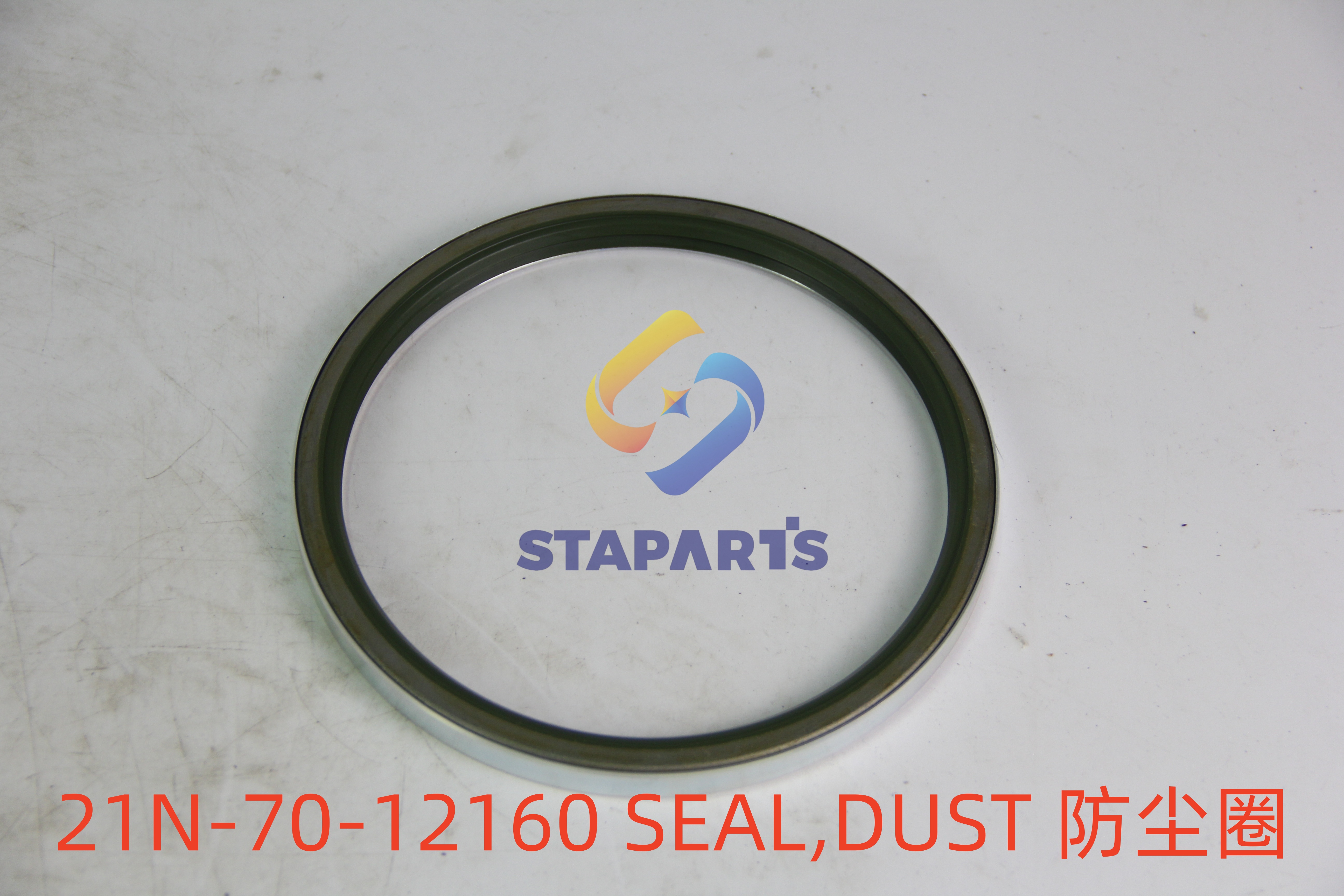 21N-70-12160 SEALDUST