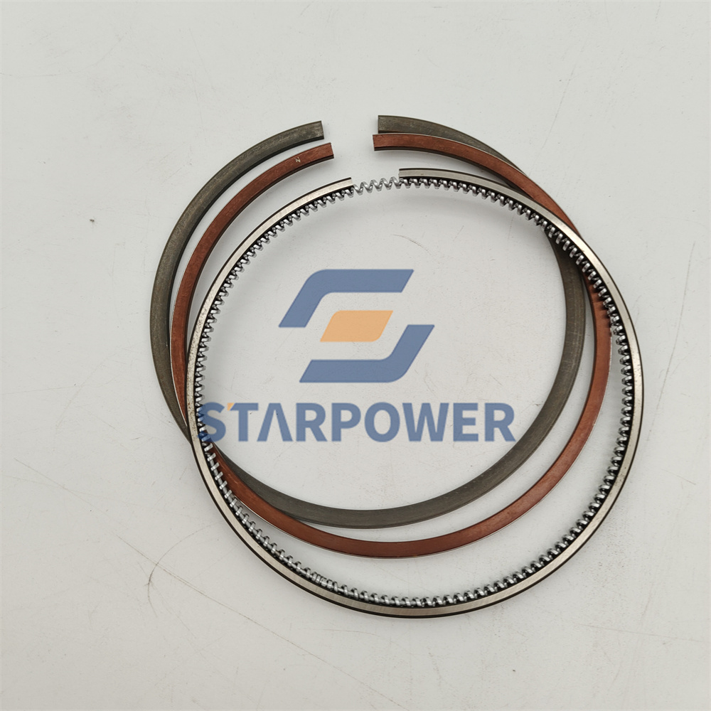 6207-31-2501 PISTON RING ASSY