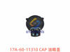 17A-60-11310 CAP