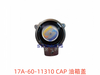 17A-60-11310 CAP