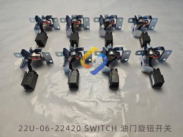 22U-06-22420 SWITCH
