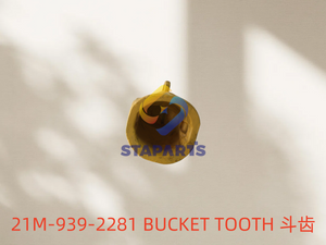 21M-939-2281 VALVE ASSY